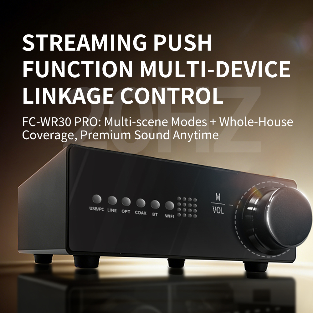 WR30 PRO WiFi Bluetooth Music  – Dac Streamer Network Player recenzja i cena